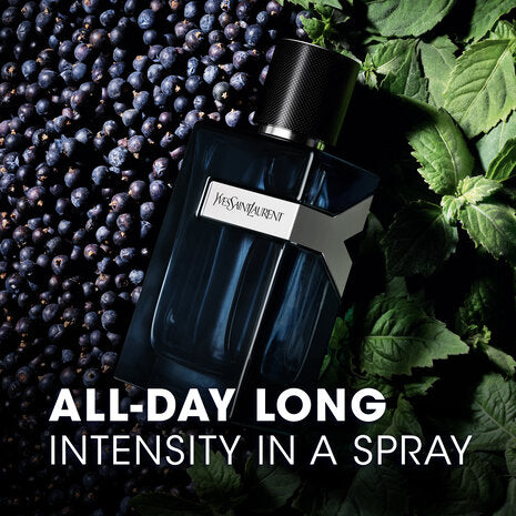 Y EDP Intense (M)