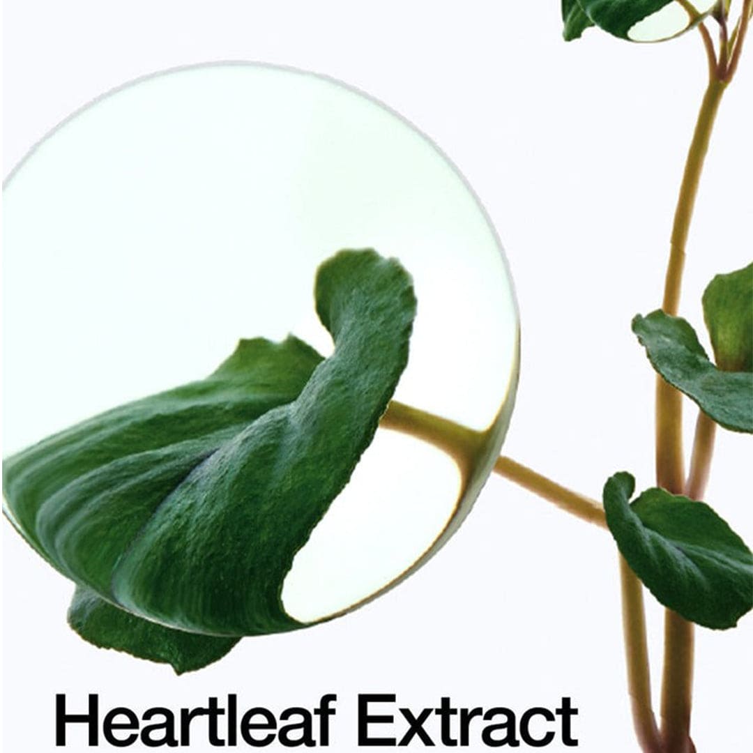 Anua Heartleaf Pore Control Cleansing Oil - Deep Pore Cleansing Makeup Remover - 200ml