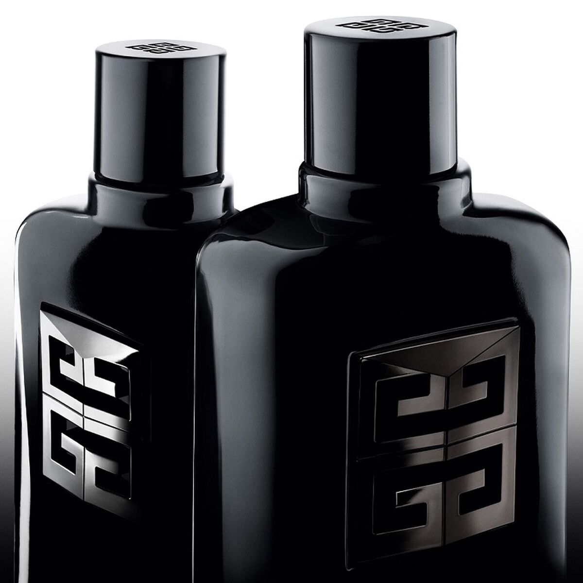Gentleman Society EDP (M)