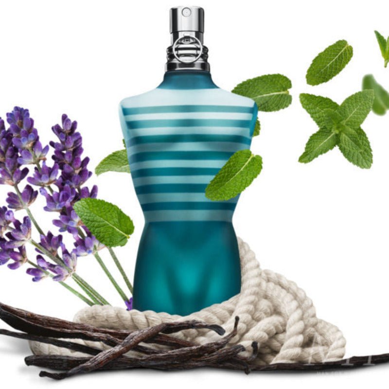 Le Male EDT (M)