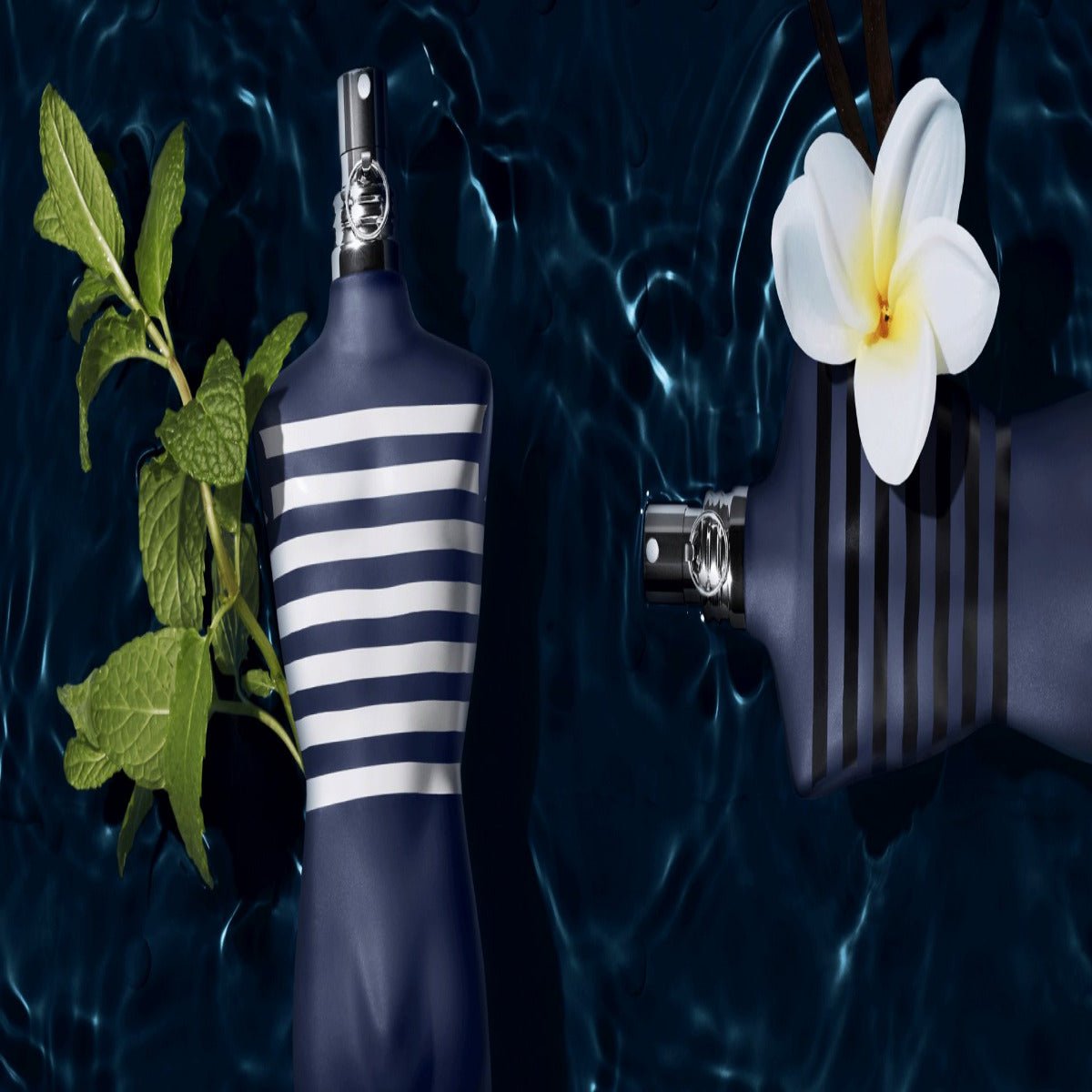 Le Male In The Navy EDT (M)