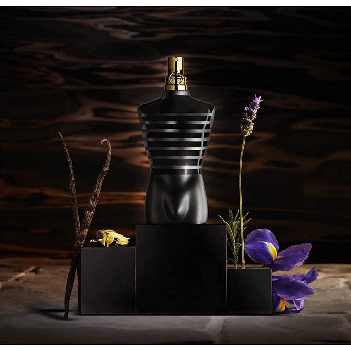 Le Male Le Parfum EDP Intense (M)