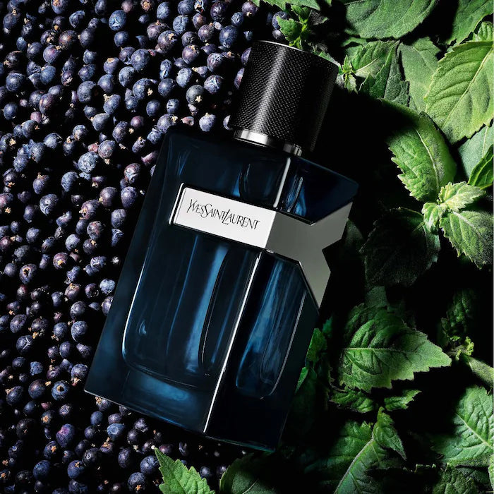 Y EDP Intense (M)